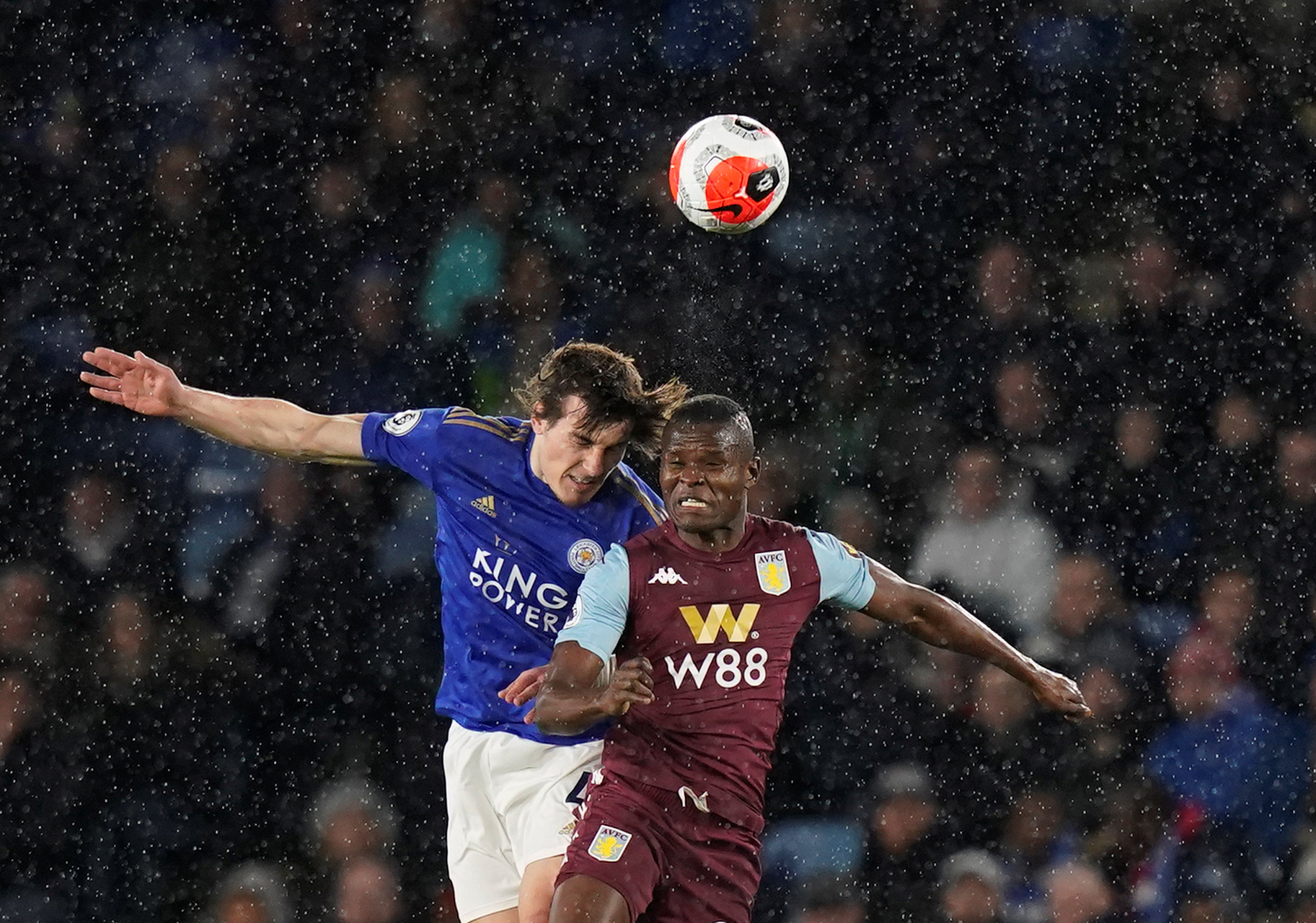 固定的球迷 固定的球迷